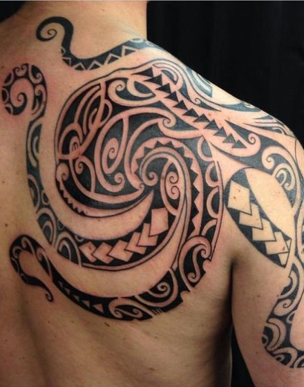 Polynesian sea creatures