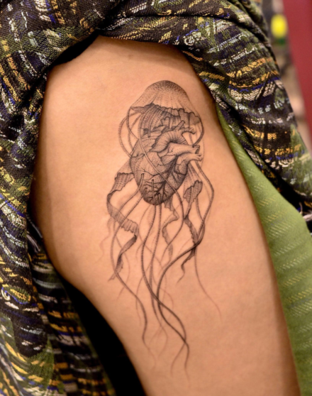 Lion’s Mane Jellyfish