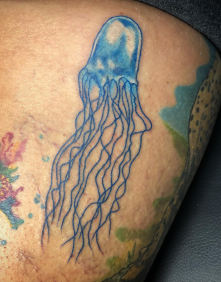 Box Jellyfish