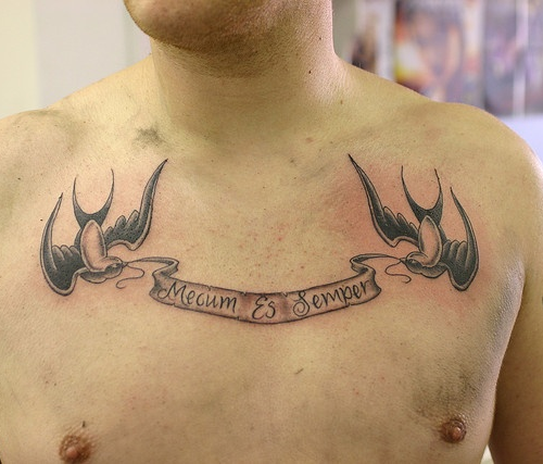 Bird Tattoo Ideas with Inscriptions