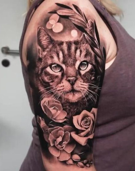 Realistic Designs of Cat