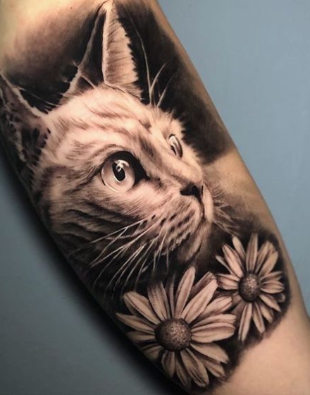 Realistic Designs of Cat