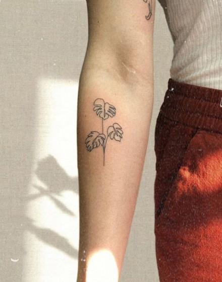 Floral Motifs