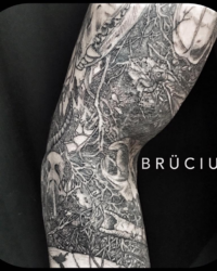 Brücius Von Xylander