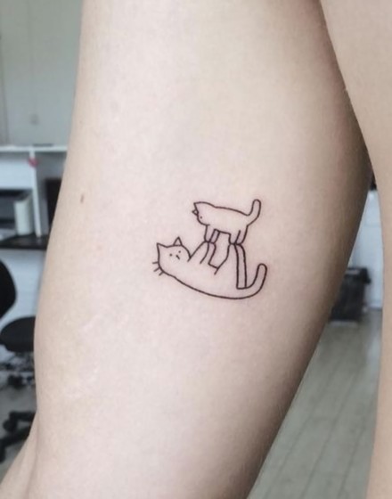 Animals