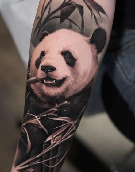 Bear With The Landscape