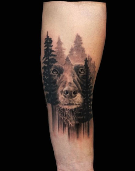 Bear With The Landscape