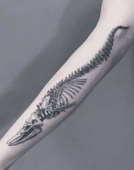 Dinosaur Skeleton Tattoo