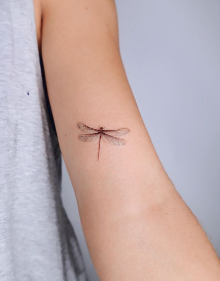 Small Dragonfly Tattoos