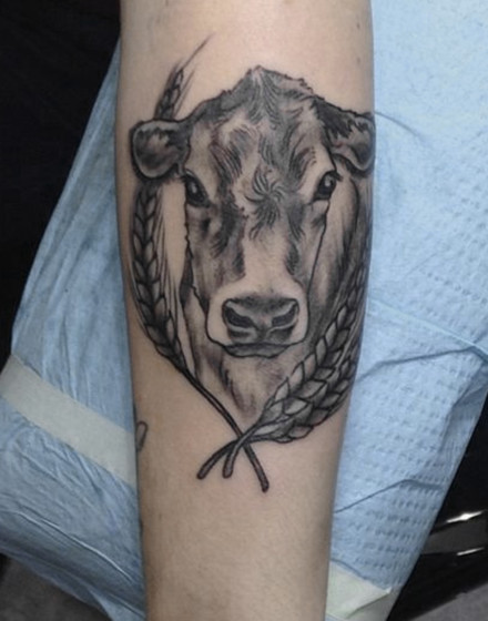 Realistic Cow Tattoo