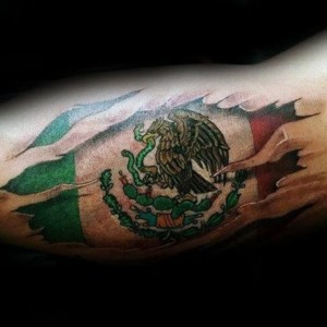 Mexican Flag and Map
