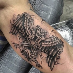 Mexican Golden Eagle