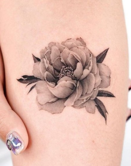 Realistic Designs