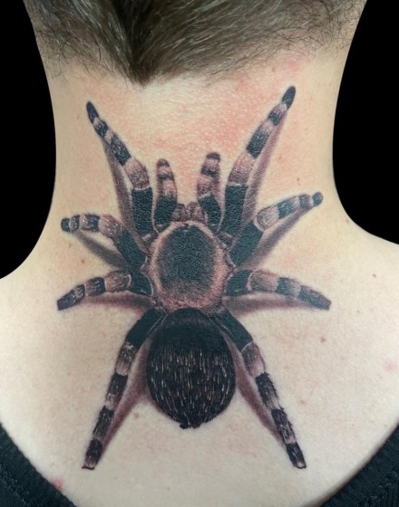 Tarantula Tattoos