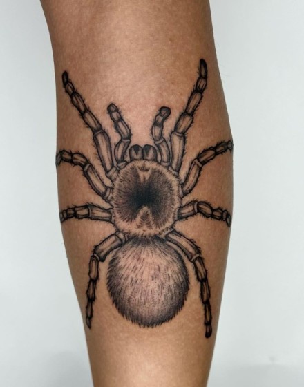 Tarantula Tattoos