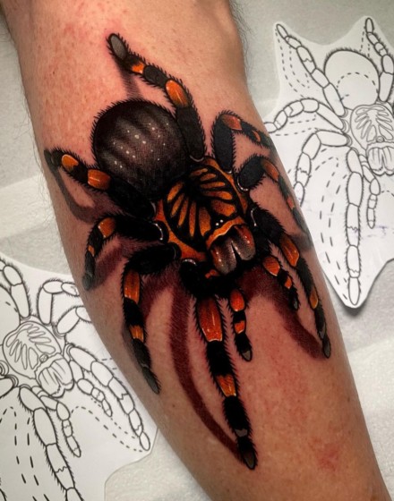 Tarantula Tattoos