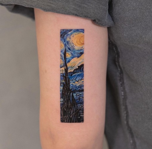 Starry Night Over the Rhône