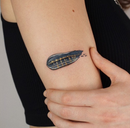 Starry Night Over the Rhône