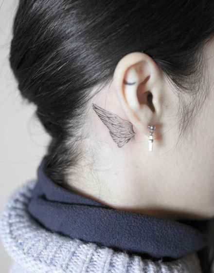 Bird-Centered Themes