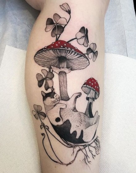 Mushroom Cats