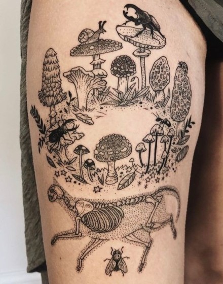 Fairy Ring Designs
