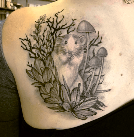 Ideas with Animals