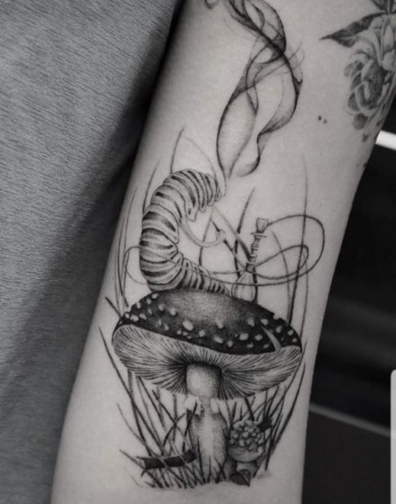 Ideas with Animals