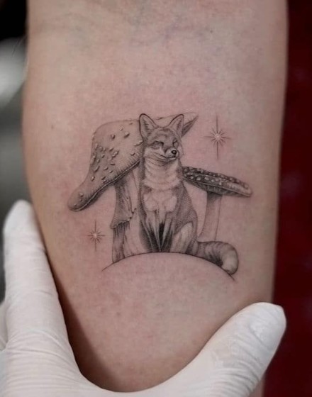 Ideas with Animals