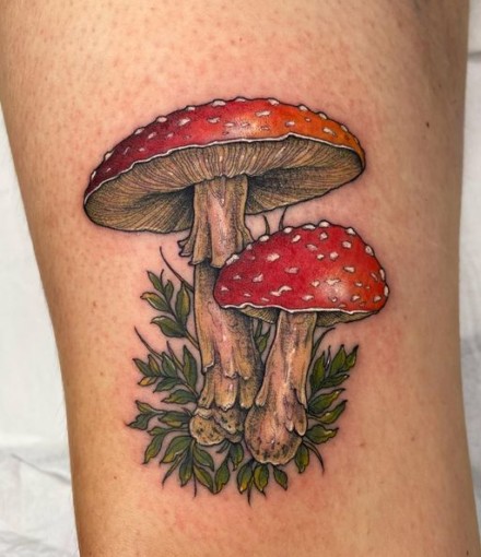 Like a Real Mushroom