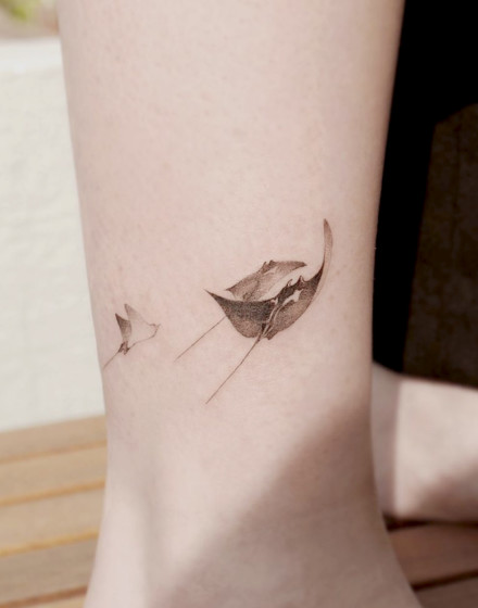 A Fever of Stingrays