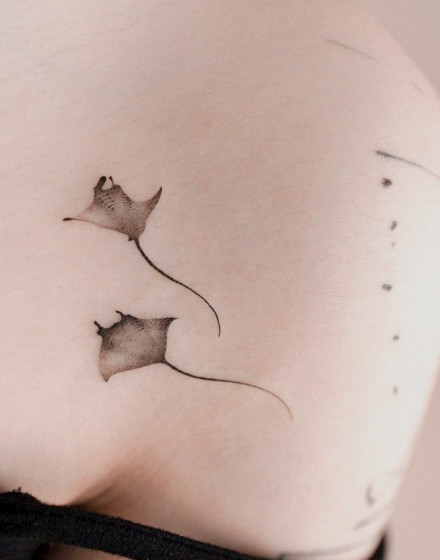 A Fever of Stingrays