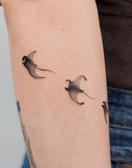 A Fever of Stingrays