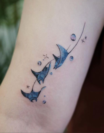 A Fever of Stingrays