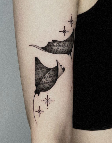 A Fever of Stingrays