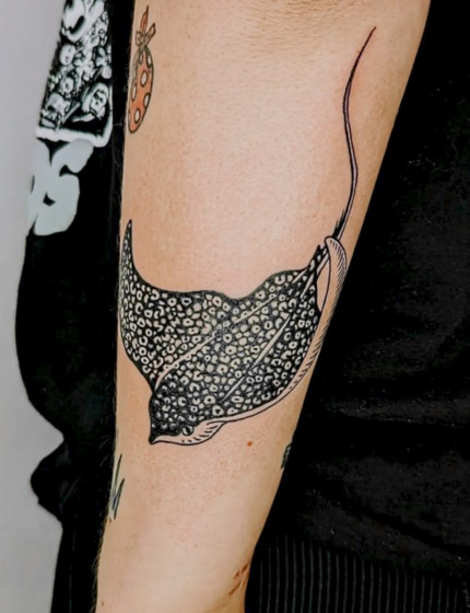 Eagle Ray Tattoo