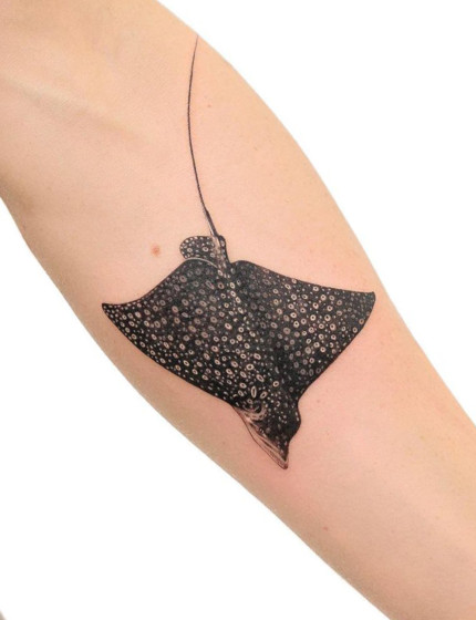 Eagle Ray Tattoo