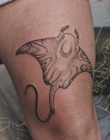 Manta Ray Tattoo