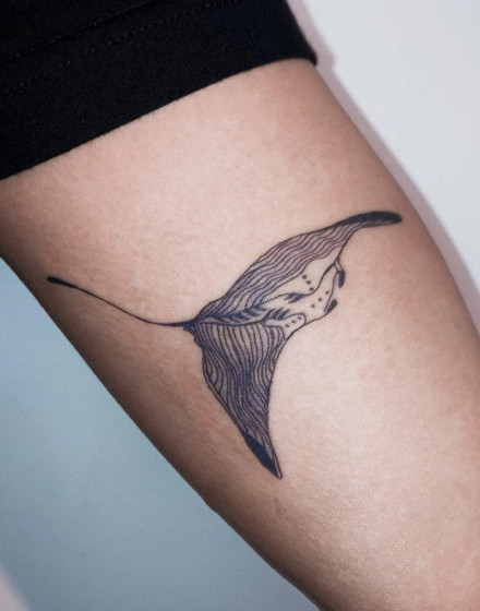 Manta Ray Tattoo