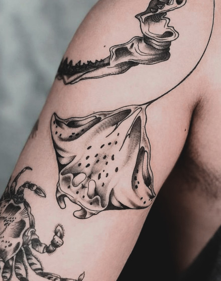 Manta Ray Tattoo