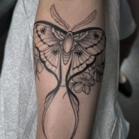 Melanie Grace—Sleek Dotwork and Fine Line