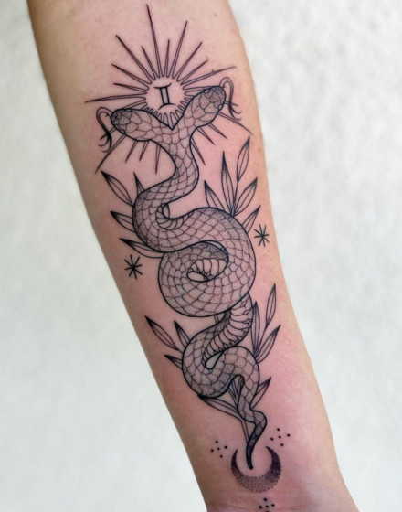 Gemini Spirit Animals