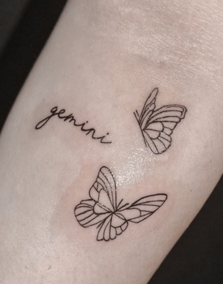 Gemini Spirit Animals