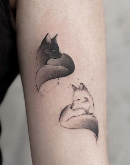 Gemini Spirit Animals