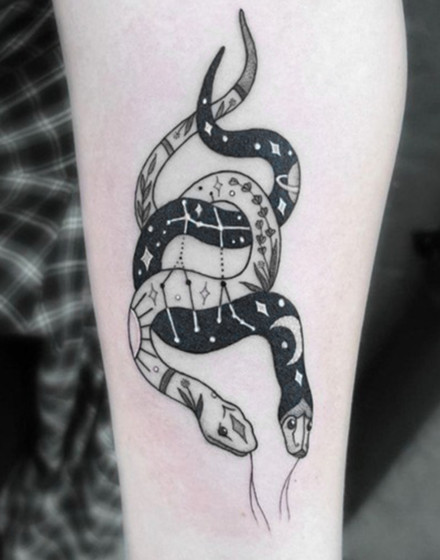 Gemini Spirit Animals