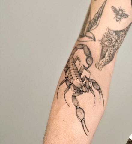 Forearm