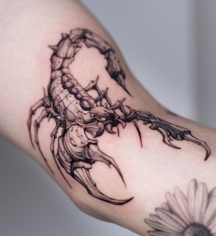 Forearm