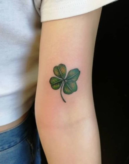 Realistic Shamrock