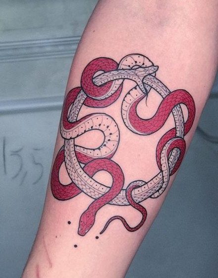 Double Ouroboros