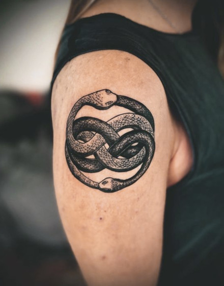 Double Ouroboros