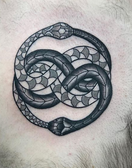 Double Ouroboros
